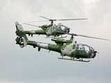 left click to download Gazelles