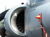 left click to download Twr-Aircraft-Wallpaper harrier-Detail