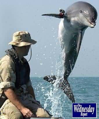 Gulf War II