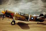 left click to download Twr-Aircraft-Wallpaper p- Warhawk-Kittyhawk