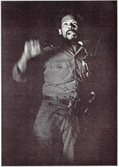 Vietnam Veterans Against The War propaganda Image